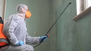 Best Mold Remediation for Healthcare Facilities  in Edmonton, KY