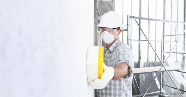 Best Basement Mold Removal  in Edmonton, KY